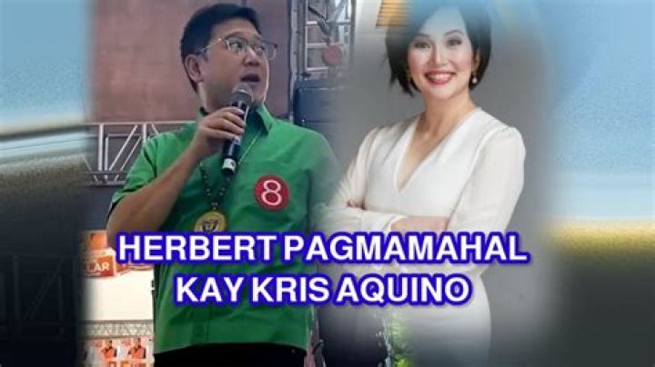 Unraveling The Dynamic Duo: Herbert Bautista And Kris Aquino