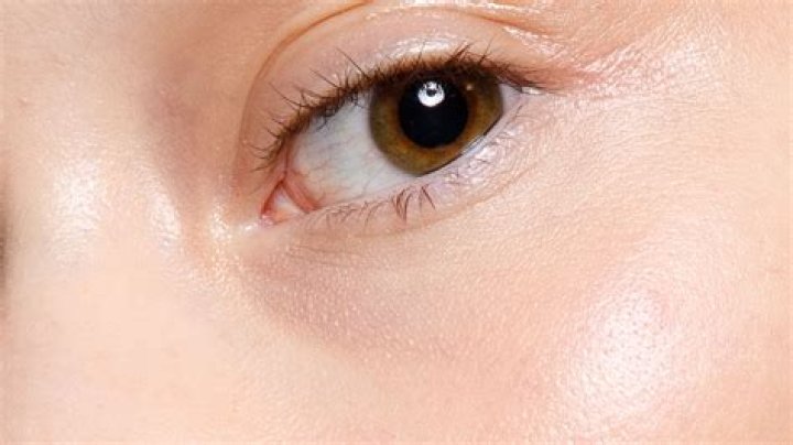 Highlighter And Illuminator: What Are The Differences And What Are The Best Ones