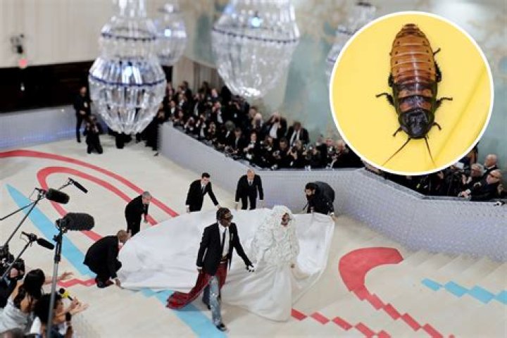 Horrifying moment cockroach invades Met Gala and scuttles along the carpet nearly upstaging Rihanna