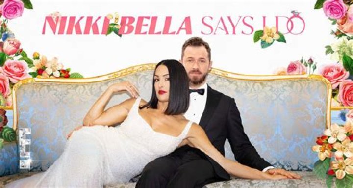 Unraveling The Love Story: How Did Artem And Nikki Bella Meet?