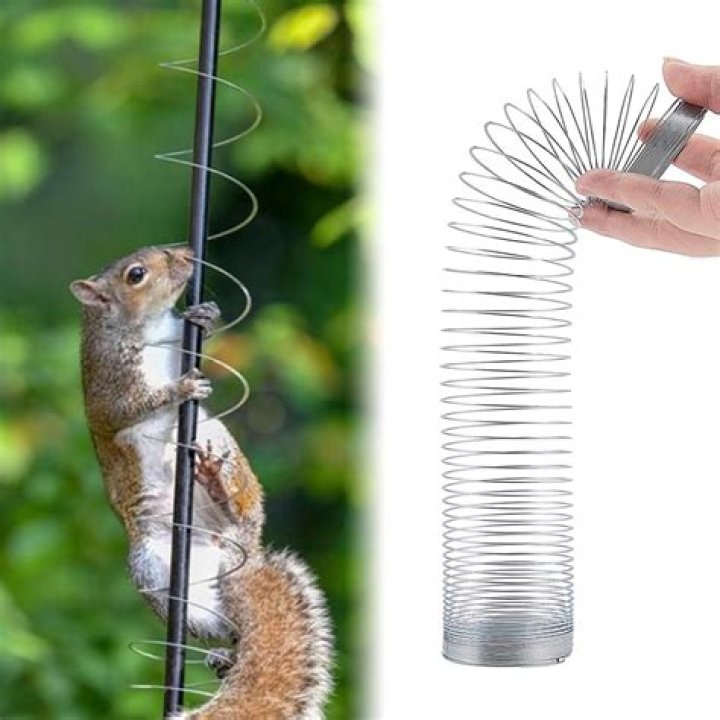 How do I keep squirrels from climbing my shepherds hook?
