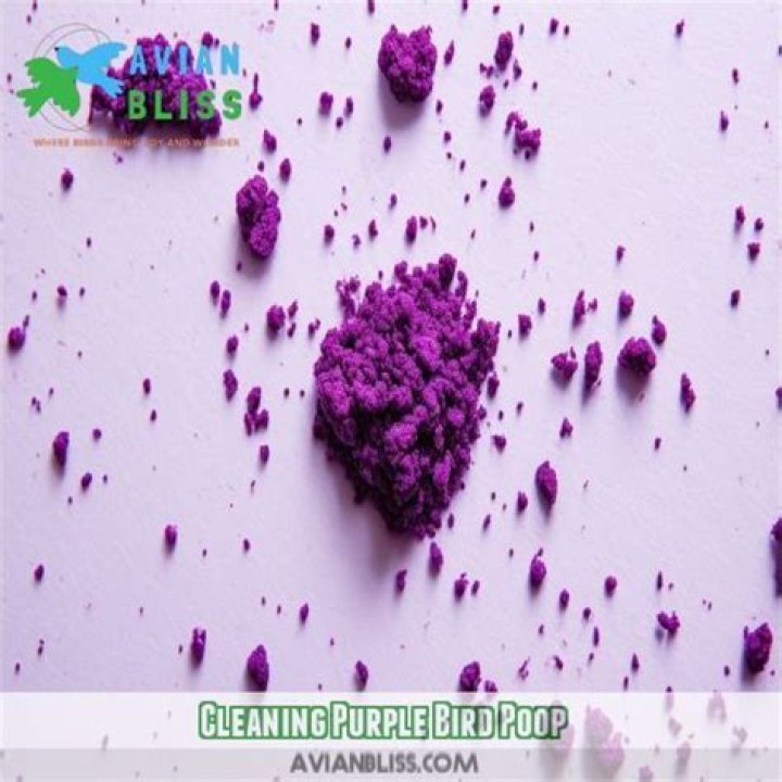 How do you clean purple bird poop?