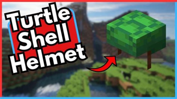 Question: How Do You Craft A Turtle Shell In Minecraft