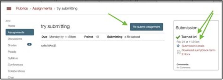 Quick Answer: How Do You Delete A Submission On Canvas