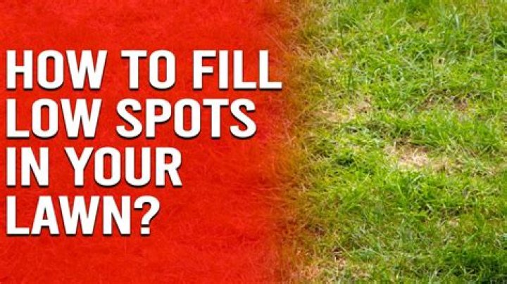 Quick Answer: How Do You Fix Low Spot In Yard That Collects Water