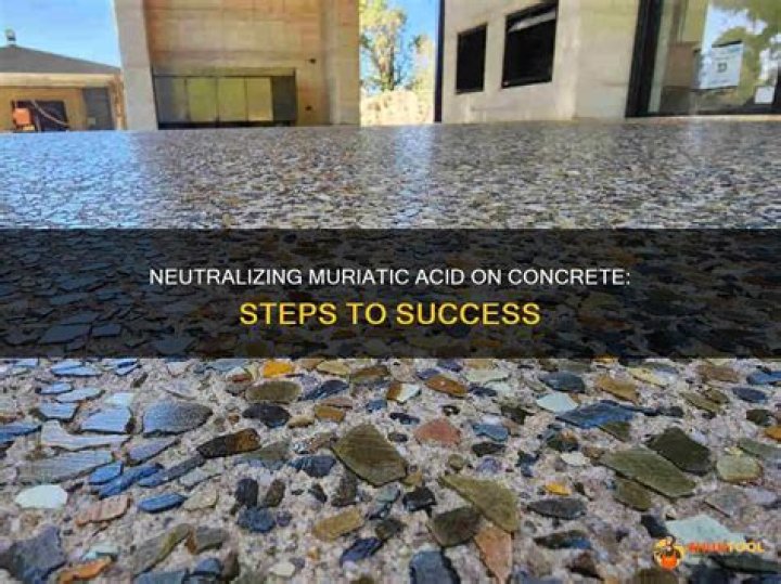 Quick Answer: How Do You Neutralize Muriatic Acid