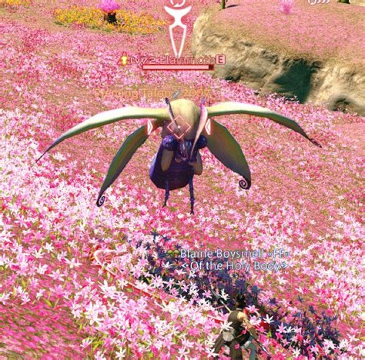 How do you turn on a Sunsetter awning light?