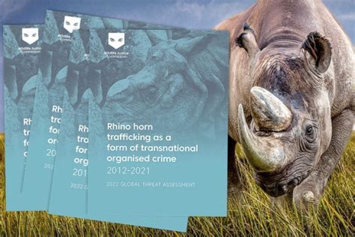 How Heavy Is A Rhino Horn