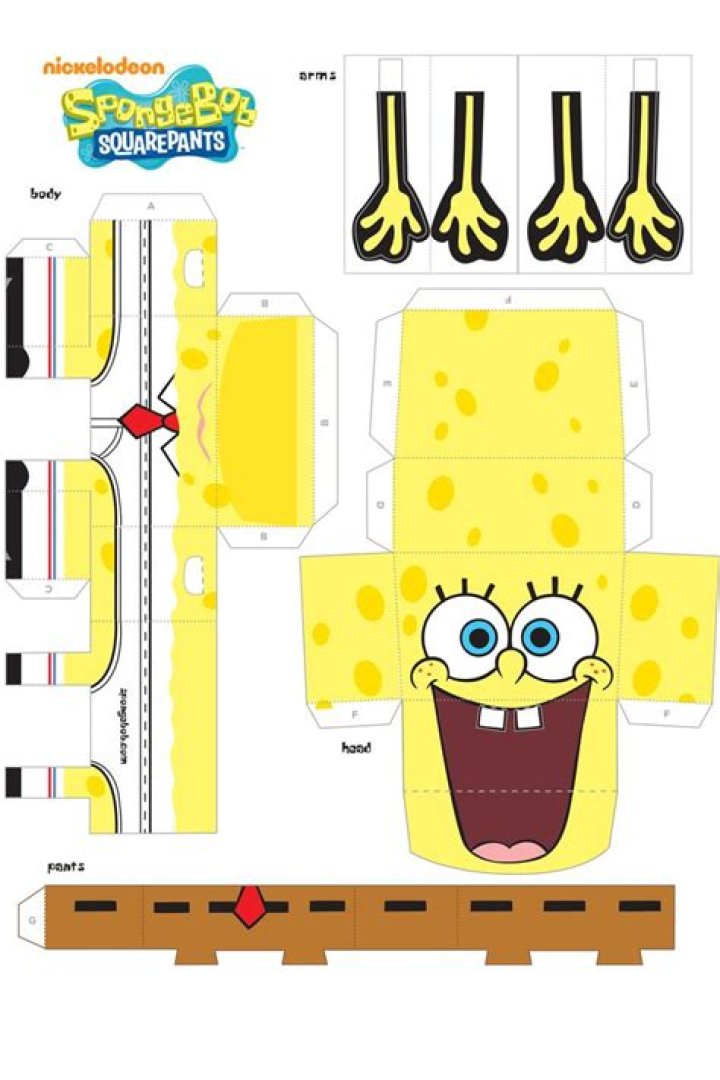 How Long Has Bob Craft Owned The Patriots