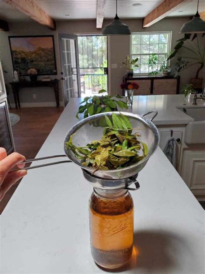 Quick Answer: How Long Is Sun Tea Good For