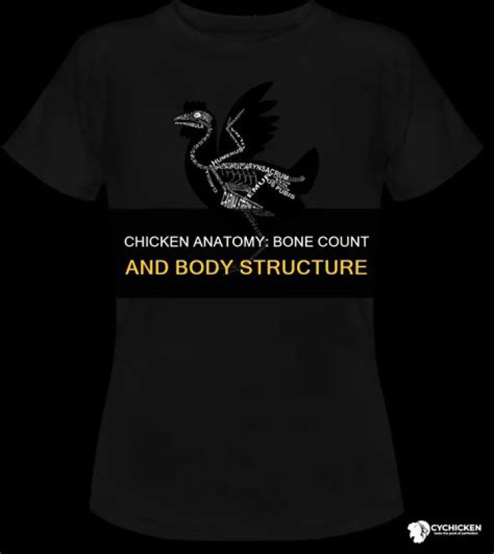 How Many Bones Are In A Chicken: Uncover The Skeletal Structure Of Poultry