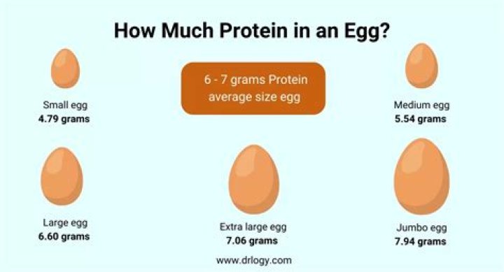 Question: How Many Grams Of Protein Egg