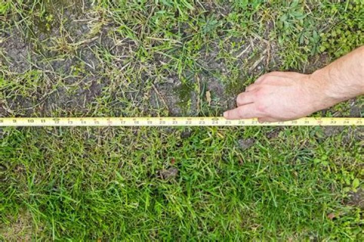 Quick Answer: How Much Grass Seed Do I Need Per Acre