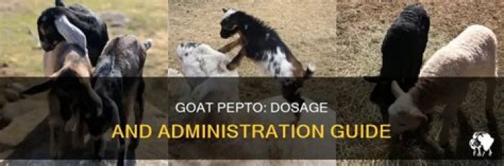 Quick Answer: How Much Pepto Bismol For Goats