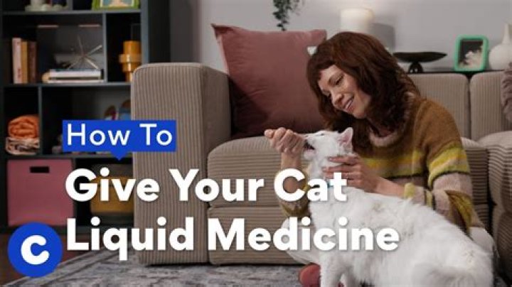 How much veraflox do I give my cat?