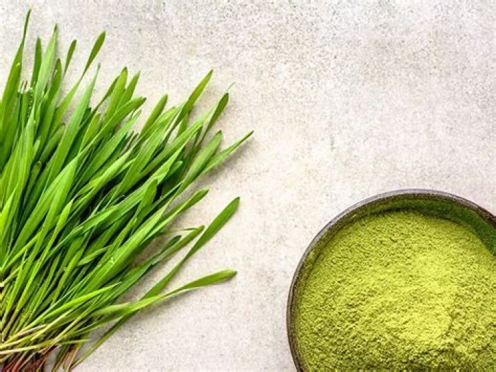 Quick Answer: How Much Wheatgrass Powder Per Day