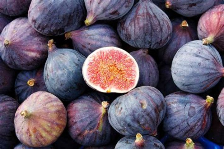How Often Does Figs Have New Colors
