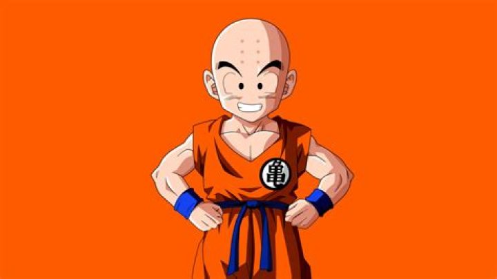 How Old Is Krillin - Seniorcare2
