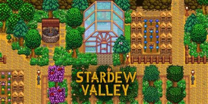 Mastering The Art Of Carrying A Filled Chest In Stardew Valley