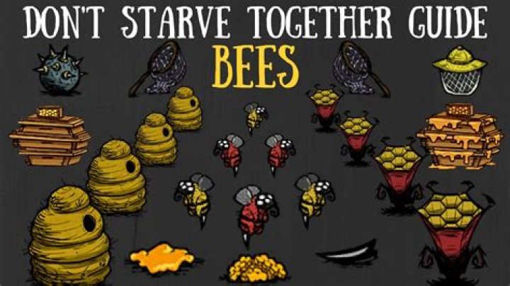 Question: How To Catch Bees Don't Starve