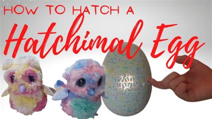 Quick Answer: How To Change Hatchimal Language To English