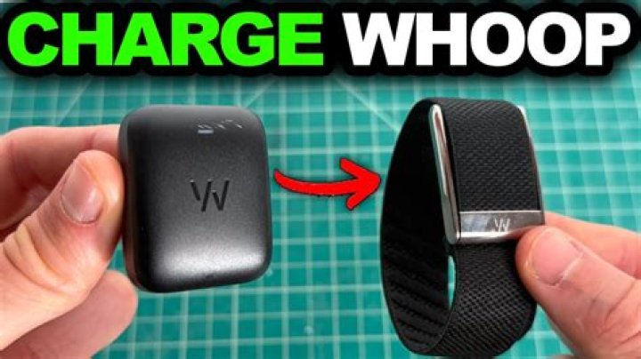 Quick Answer: How To Charge Whoop Charger