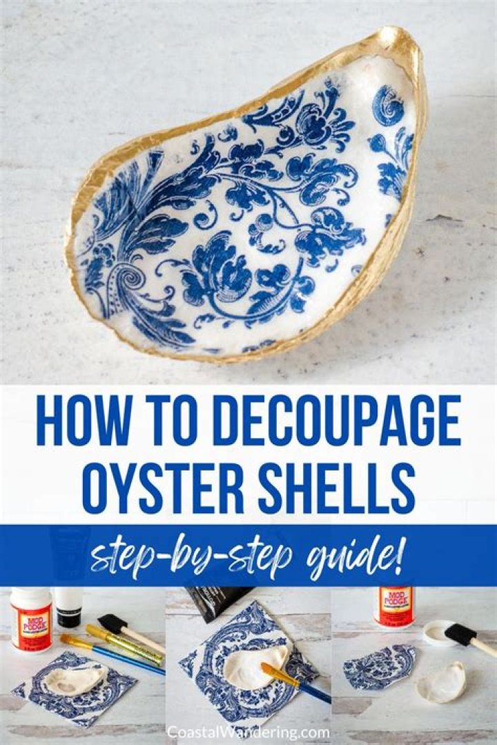 How To Clean Oyster Shells For Reuse For Crafts