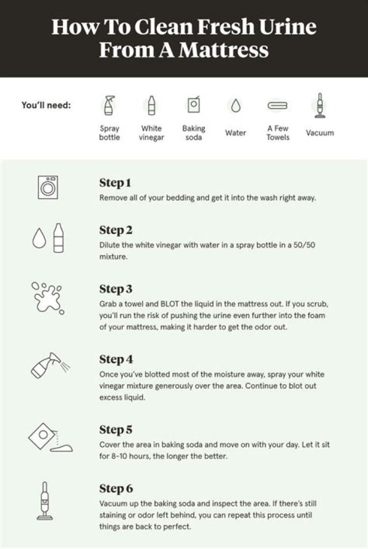 How To Clean Pee From Foam Mattress