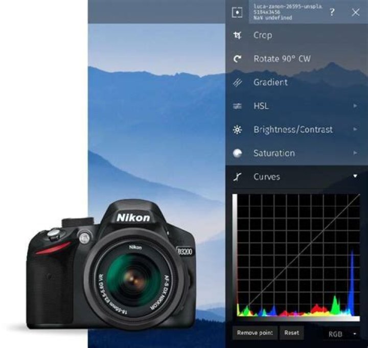 Quick Answer: How To Convert Nef To Jpeg In Nikon Camera