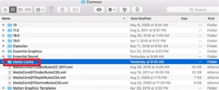 Question: How To Delete Adobe Cache Files On Mac