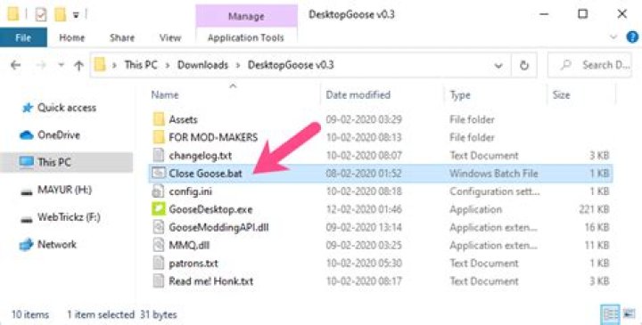 Quick Answer: How To Delete Desktop Goose On Mac
