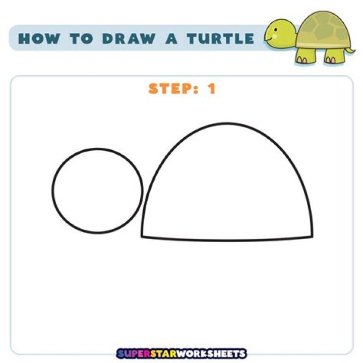 Quick Answer: How To Draw A Baby Turtle Step By Step Easy