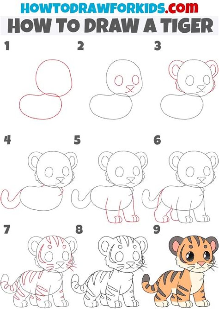 Quick Answer: How To Draw A Real Tiger Step By Step Drawings