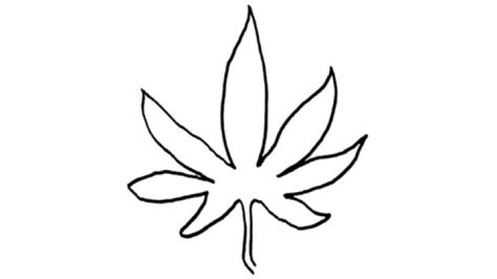 Question: How To Draw A Weed Plant