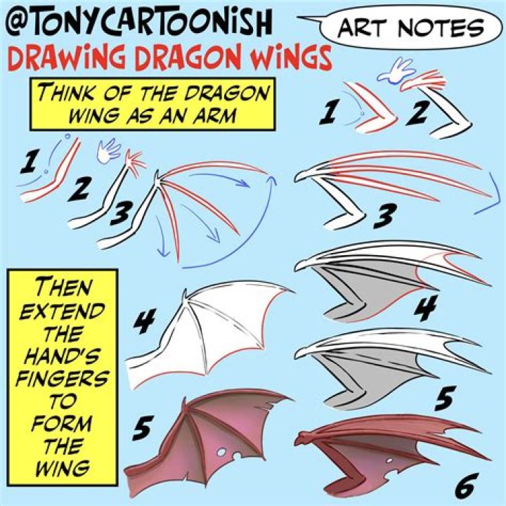 Question: How To Draw Dragon Wings