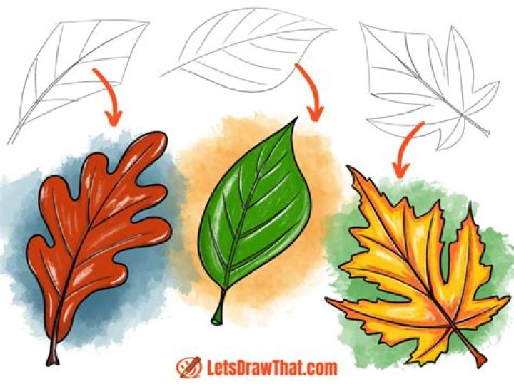 How To Draw Simple Leaves On A Tree