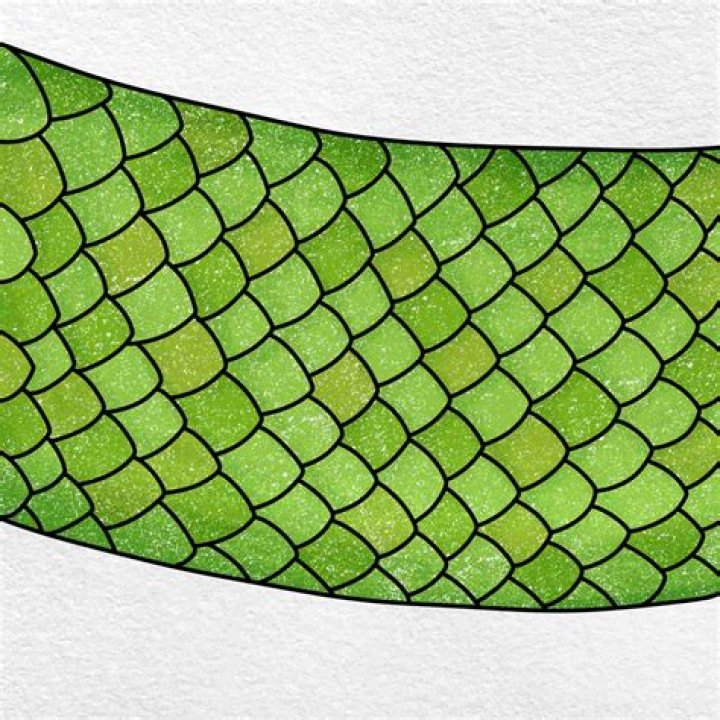 How To Draw Snake Scales