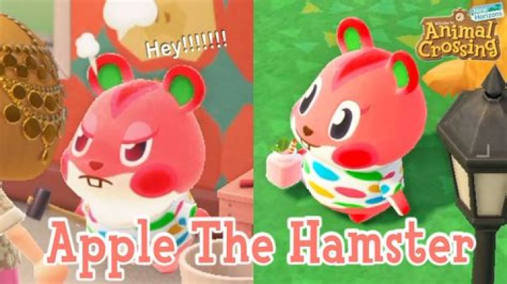 Quick Answer: How To Get A Hamster In Animal Crossing