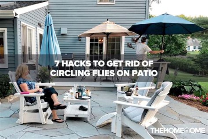 Quick Answer: How To Get Rid Of Circling Flies On Patio