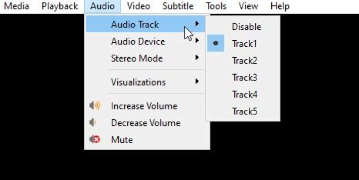 Question: How To Have Multiple Audio Tracks In Obs