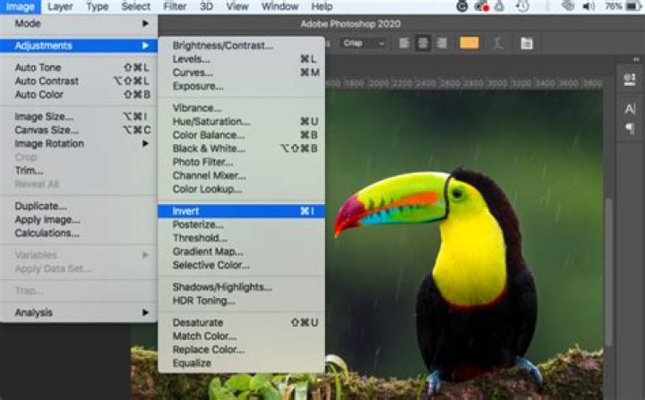 Question: How To Invert Color Photoshop