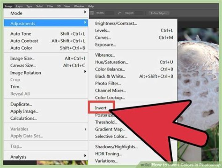 Quick Answer: How To Invert Colors In Photoshop Elements