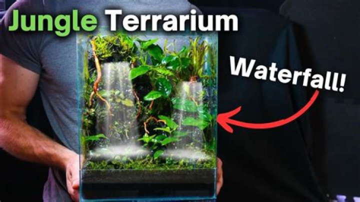 Quick Answer: How To Make A Terrarium Waterfall