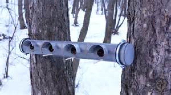 Question: How To Mount Birdhouse On Pvc Pipe