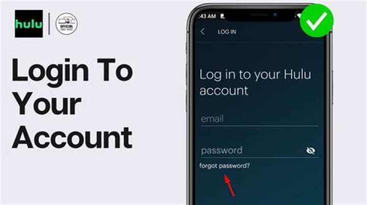 How To Pay My Hulu Account