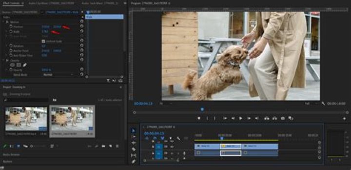 Quick Answer: How To Play A Clip Backwards In Adobe Premiere