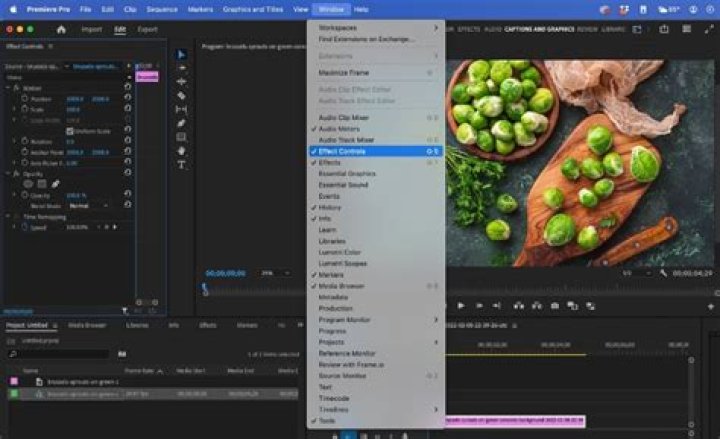 Question: How To Resize An Image In Premiere Pro