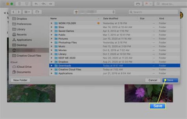 How To Save Image On Mac