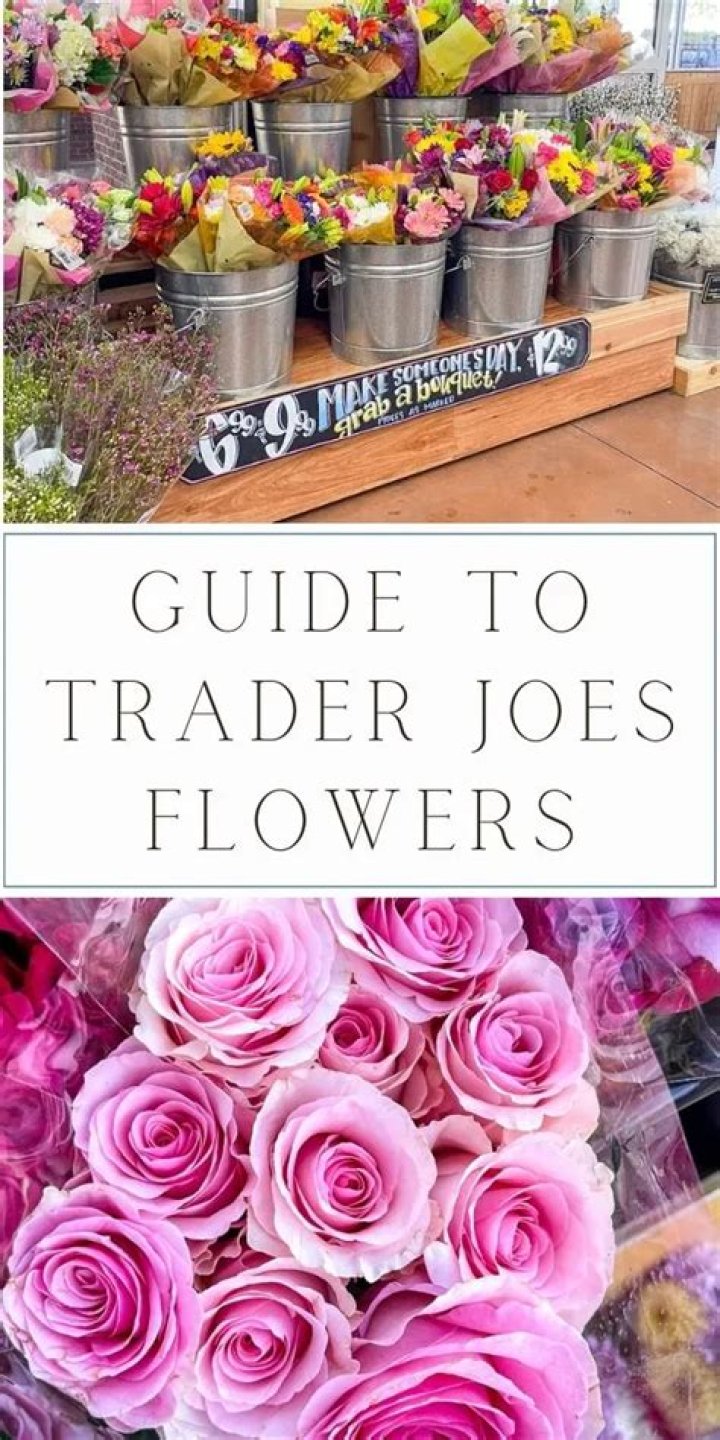 How To Shop Trader Joe's Online