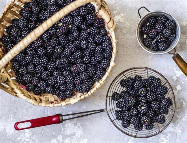 Question: How To Store Blackberries